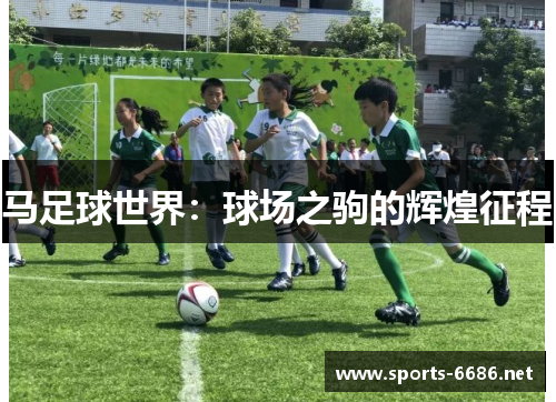 马足球世界：球场之驹的辉煌征程